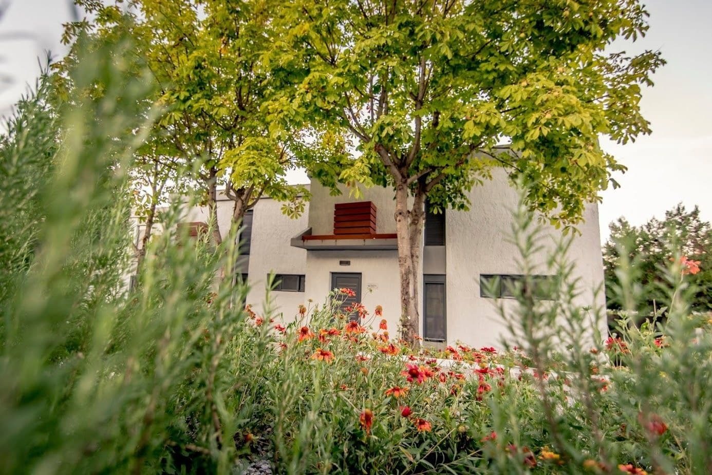 Pleiades Boutique Villas Kryopigí Eksteriør bilde